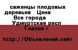 саженцы плодовых деревьев › Цена ­ 6 080 - Все города  »    . Удмуртская респ.,Глазов г.